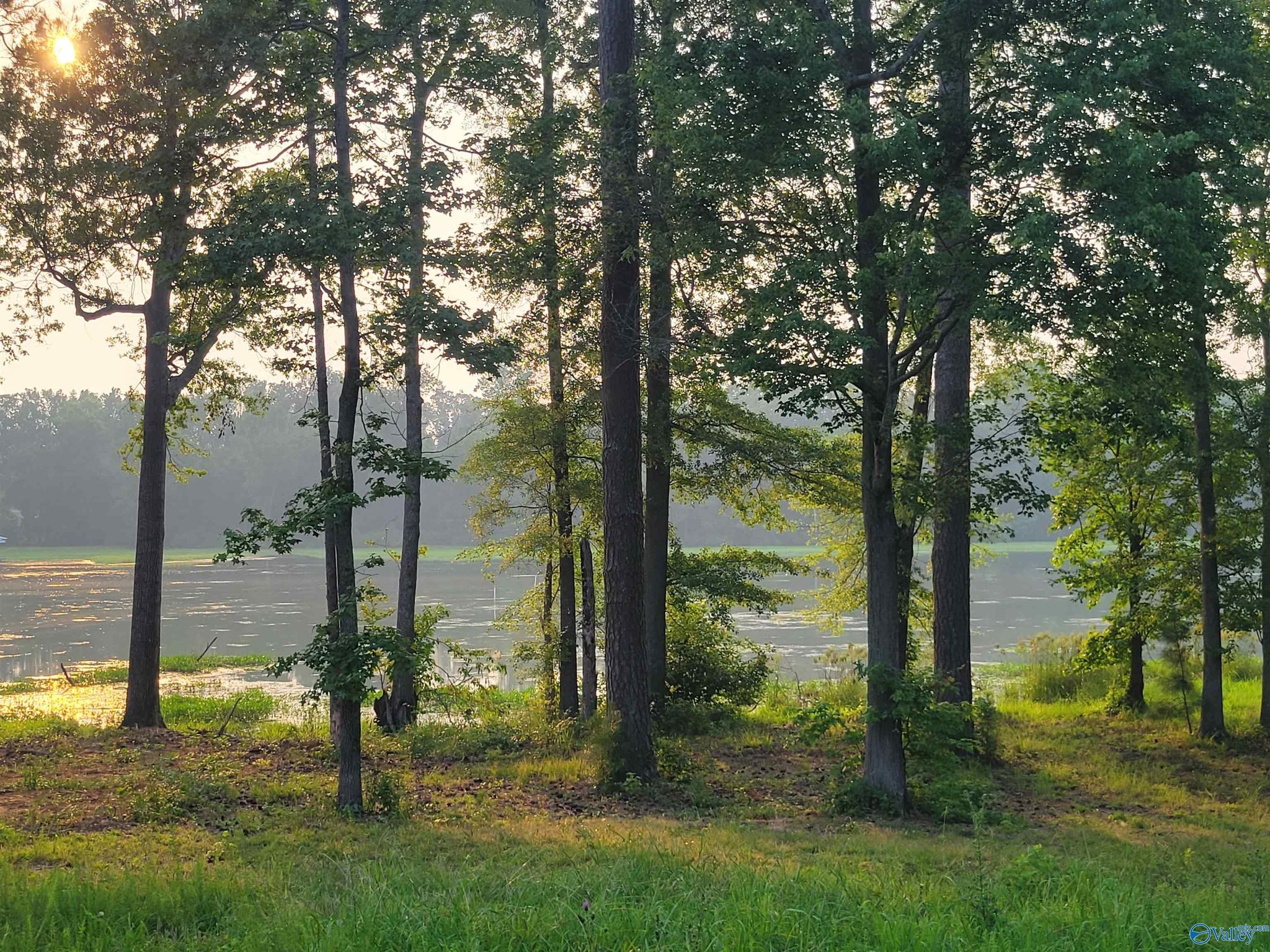 22 Goosepond Island Dr, Scottsboro, AL 35769 Trulia