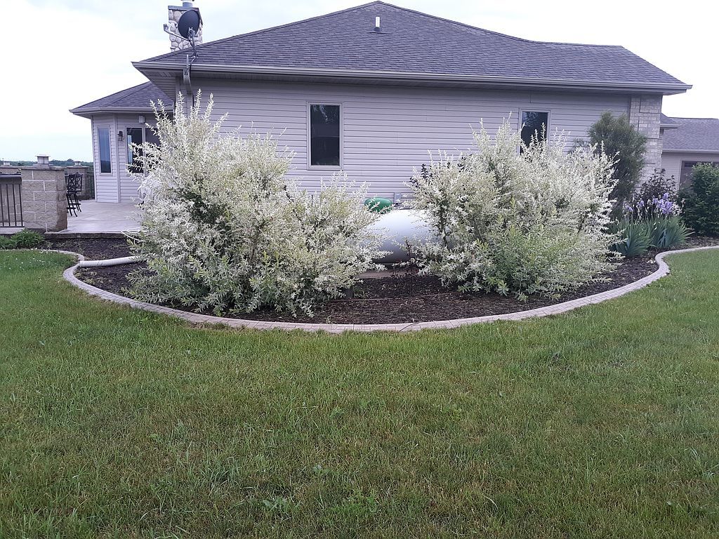 N3908 Drier Rd, New London, WI 54961 Trulia