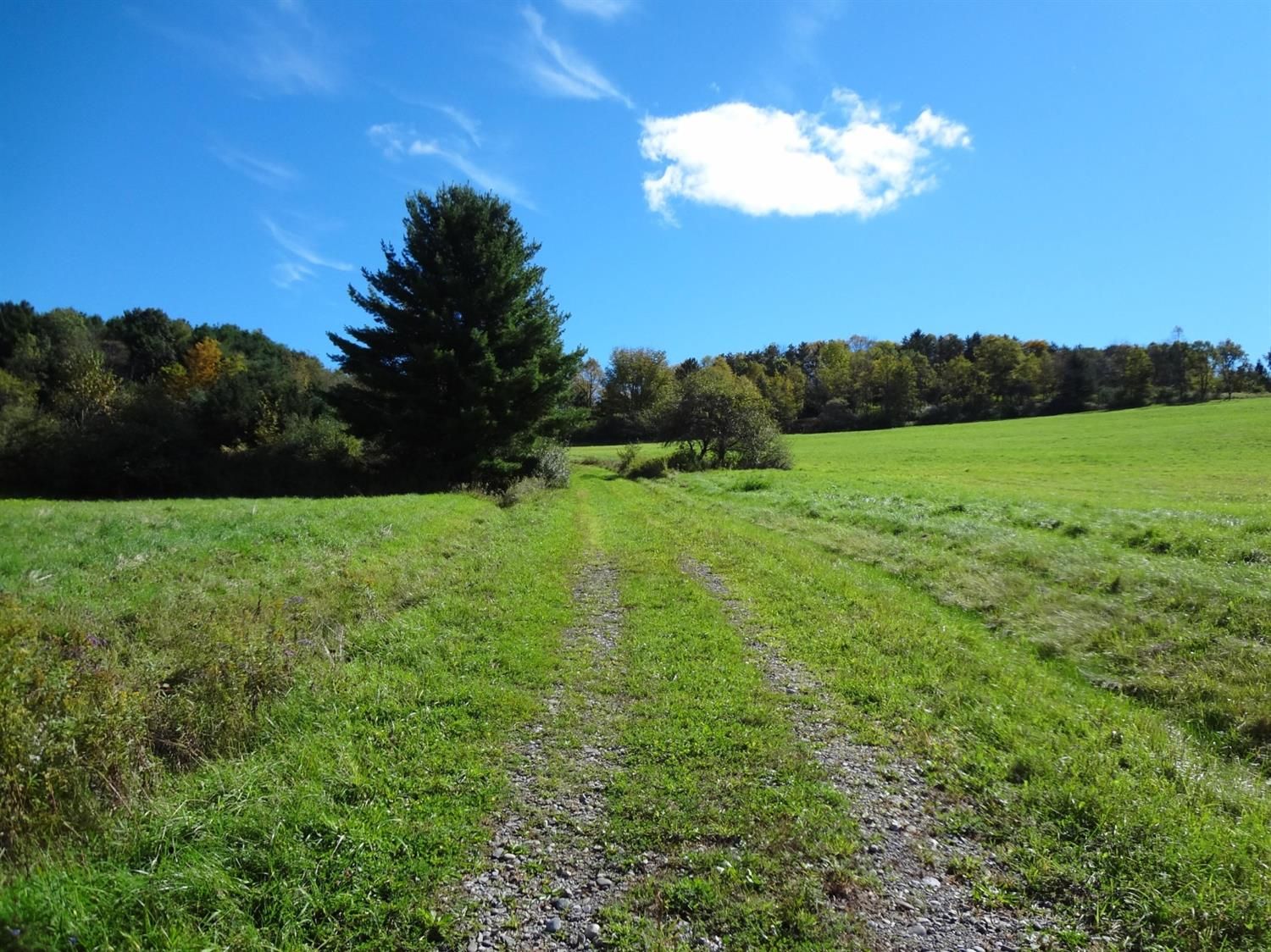 Crumtown Rd, Spencer, NY 14883 Trulia