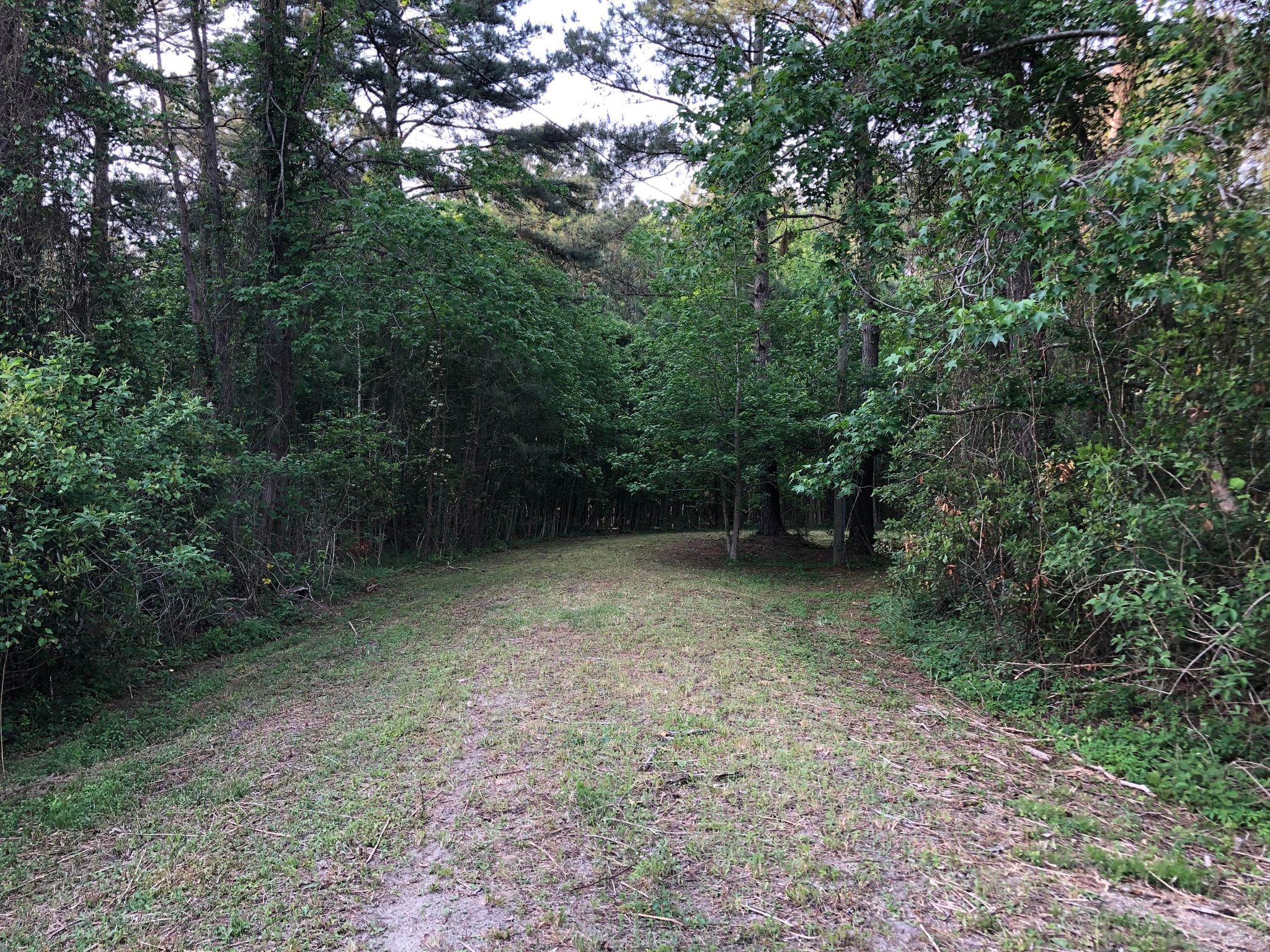 1 Turnpike Road, Swanquarter, NC 27885 Trulia