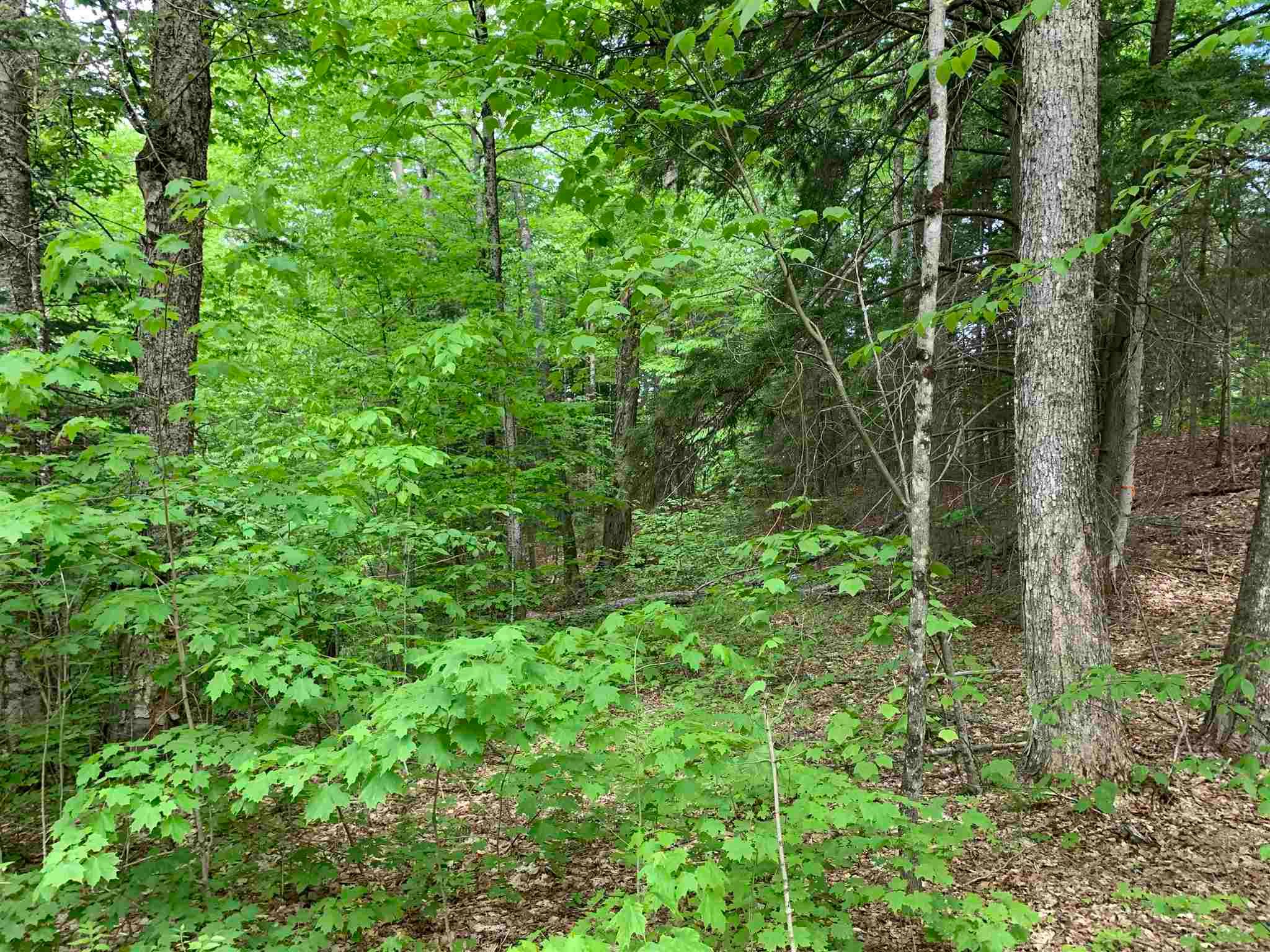 0 Washburn Road UNIT 11A, East Burke, VT 05832 Trulia