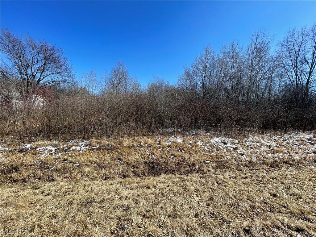 Fortney Rd, Orwell, OH 44076 Trulia