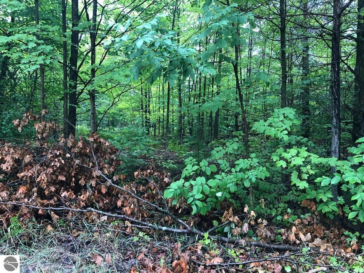 Vl S Weldon, Beulah, MI 49617 Trulia