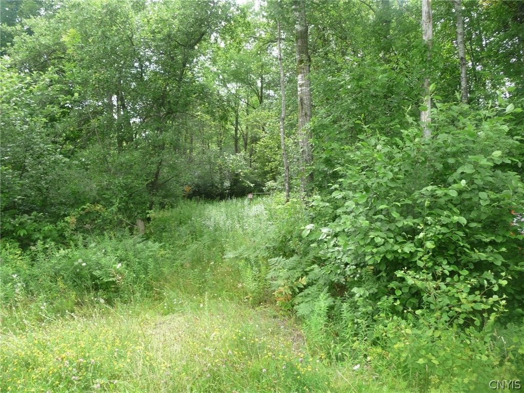 Woodpecker Ln, Mannsville, NY 13661 Trulia