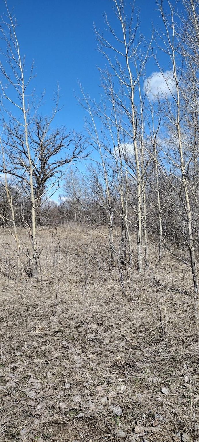 28023 County Highway 1, Underwood, MN 56586 MLS 6360049 Trulia