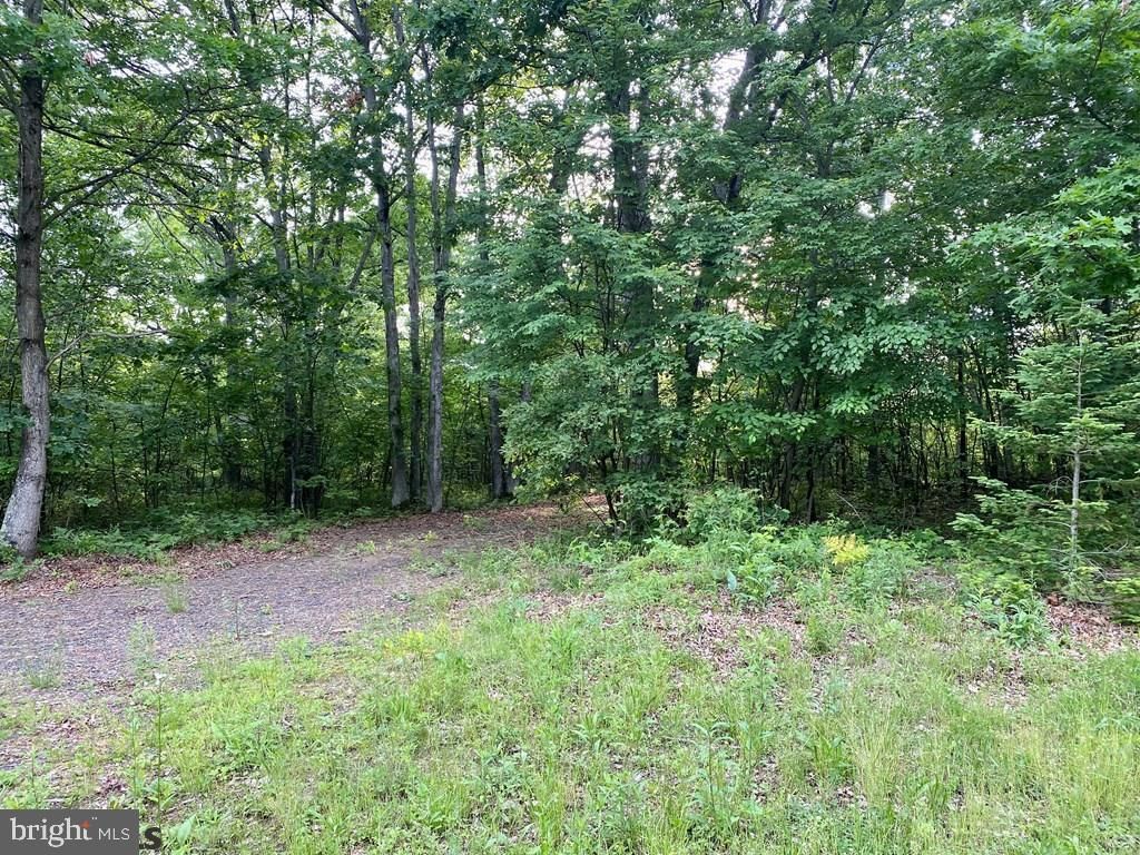 Country Cottage Ln, Todd, PA 16685 Trulia