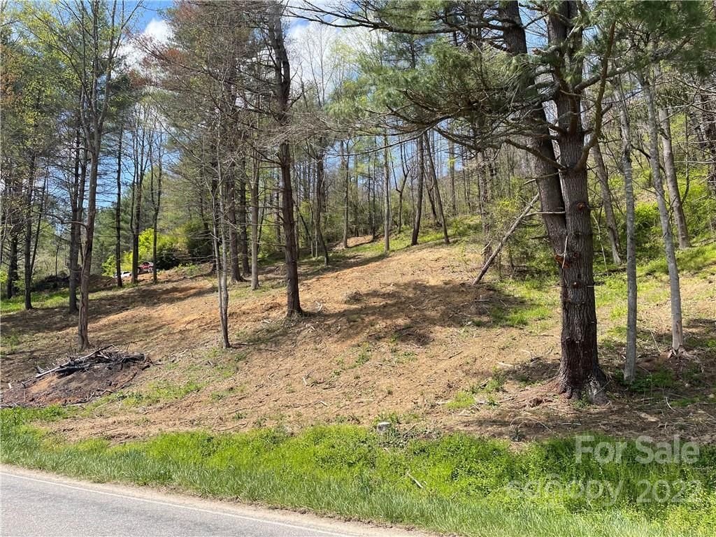 3 S Fines Creek Rd, Clyde, NC 28721 MLS CAR3853367 Trulia