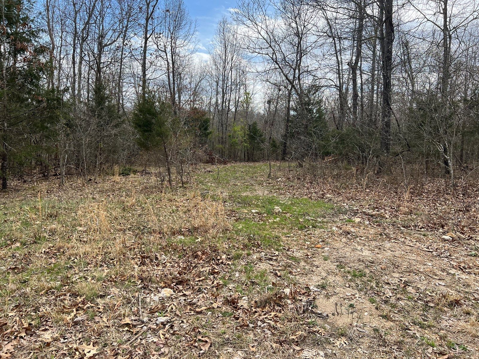 10 Private Rd 359, Thayer, MO 65791 Trulia