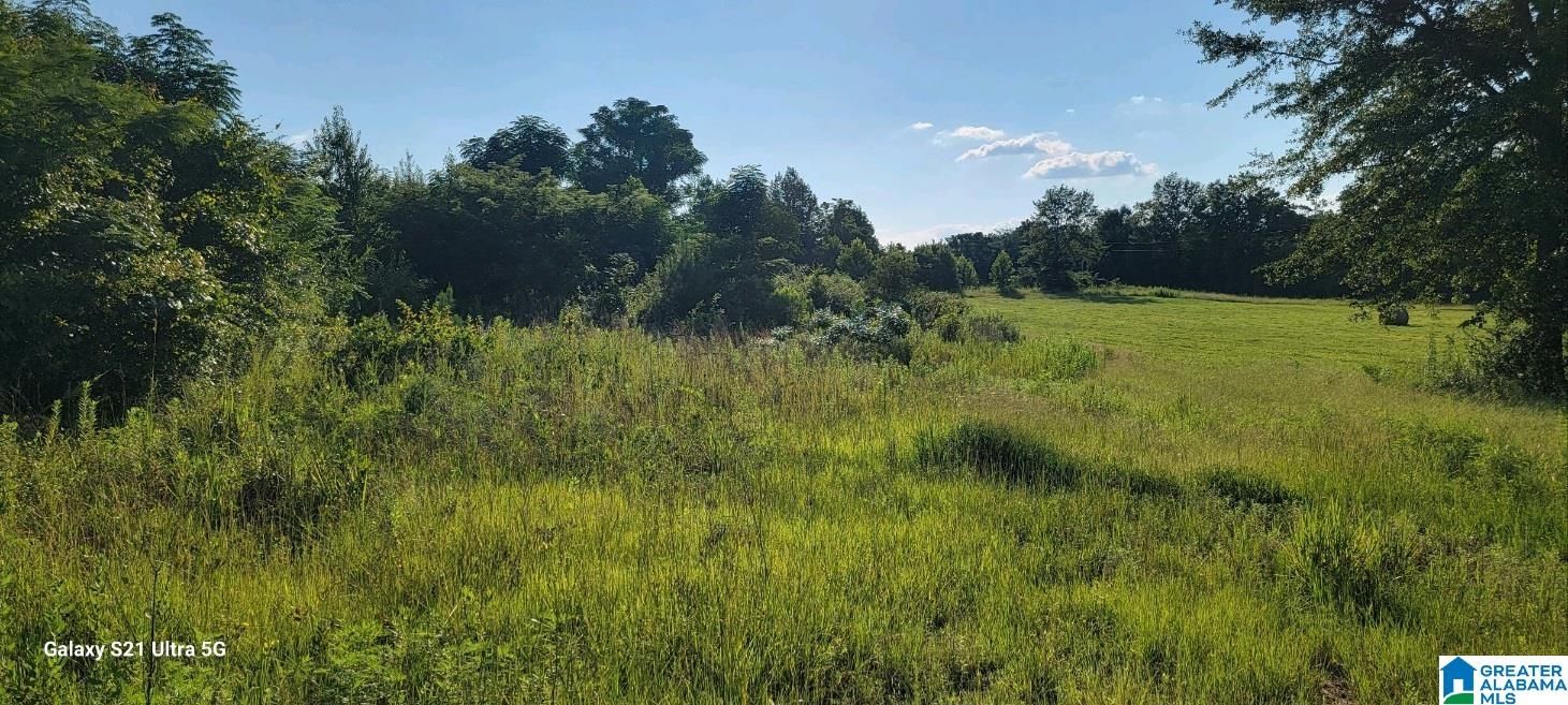 County Road 351 1, Maplesville, AL 36750 Trulia