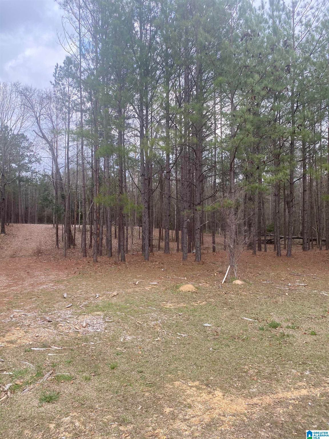 640 Shanks Dr 1, Maplesville, AL 36750 MLS 1346705 Trulia