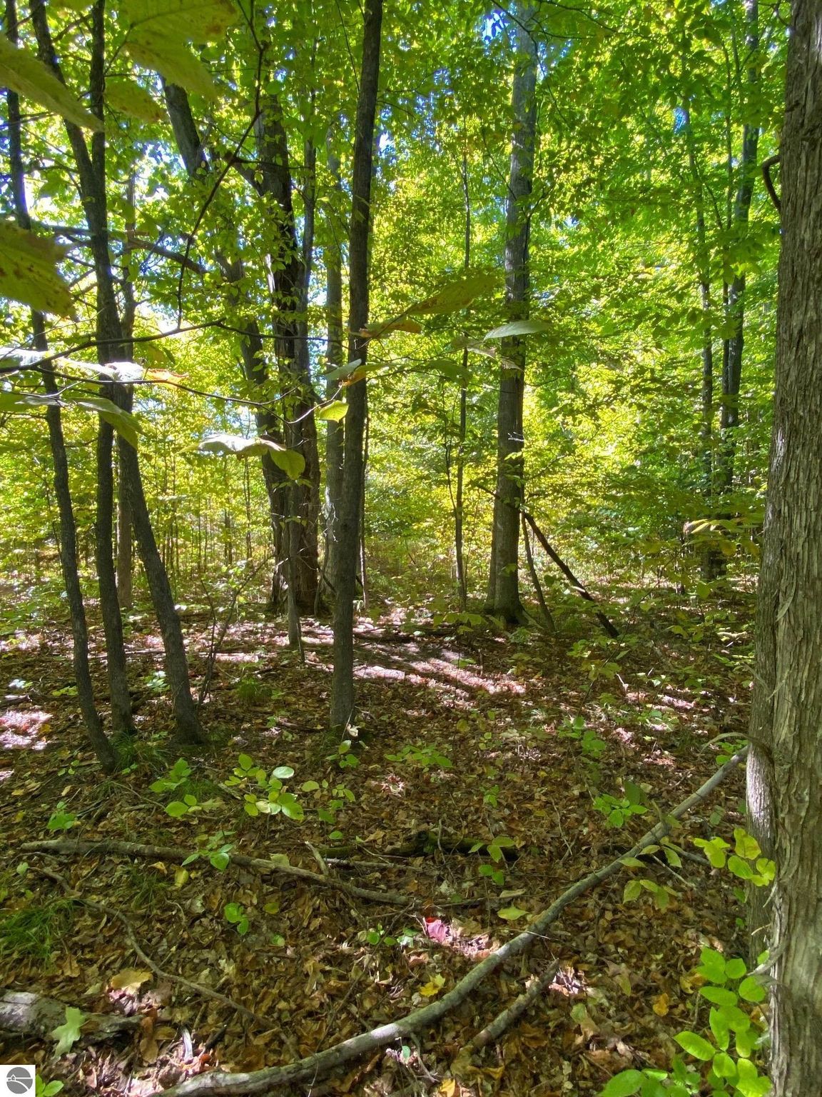 Yacks Dr, Beulah, MI 49617 Trulia