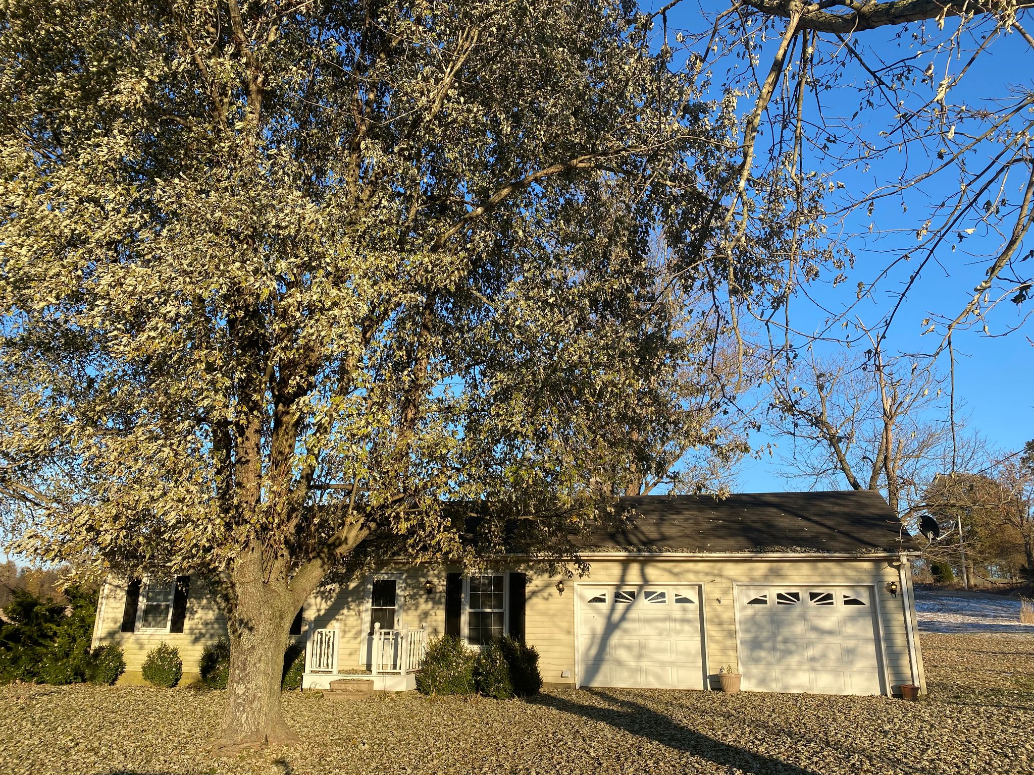 2806 Pell Rd, Metropolis, IL 62910 Trulia