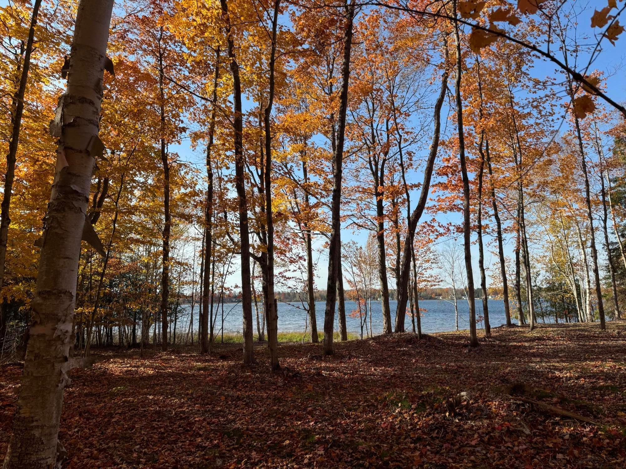 Lot 76 W Birch Shores Dr, Trout Lake, MI 49793 MLS 201832270 Trulia