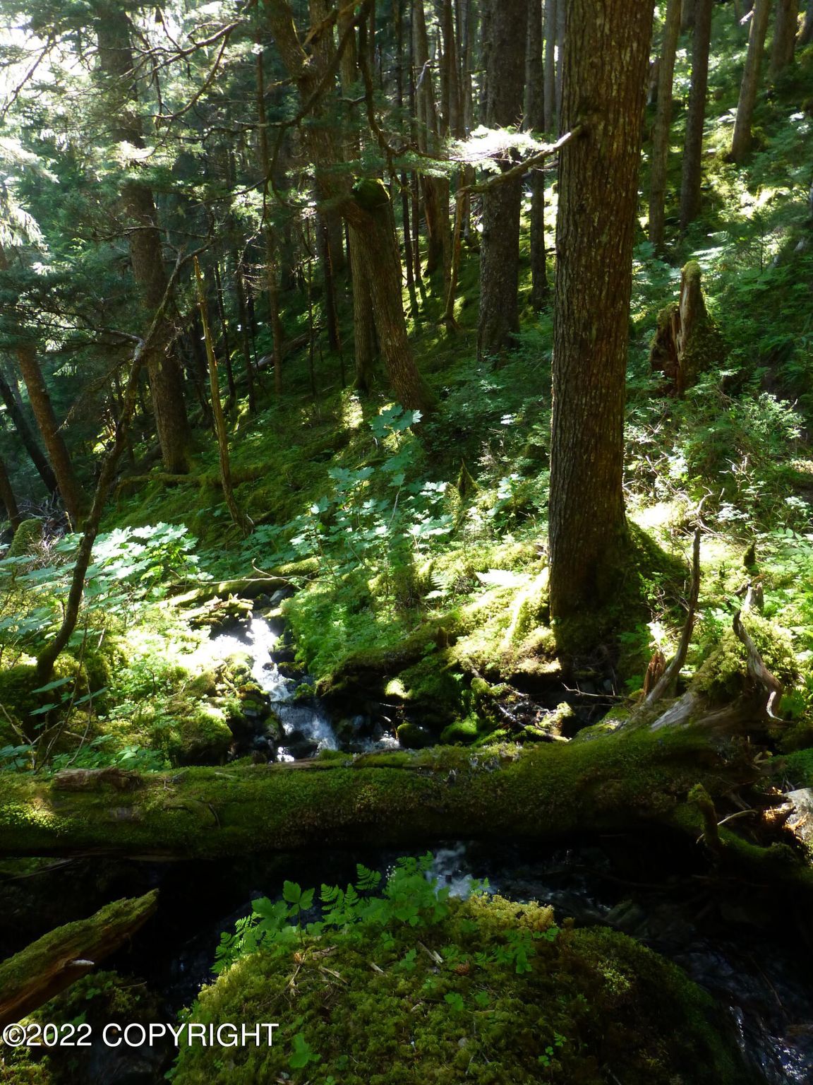 880004 Alaska State Land Curv, Seward, AK 99664 Trulia