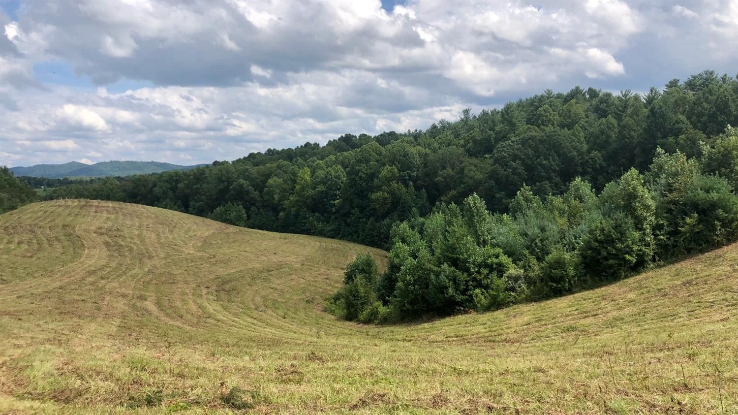 4790 High St 25W, Williamsburg, KY 40769 Trulia