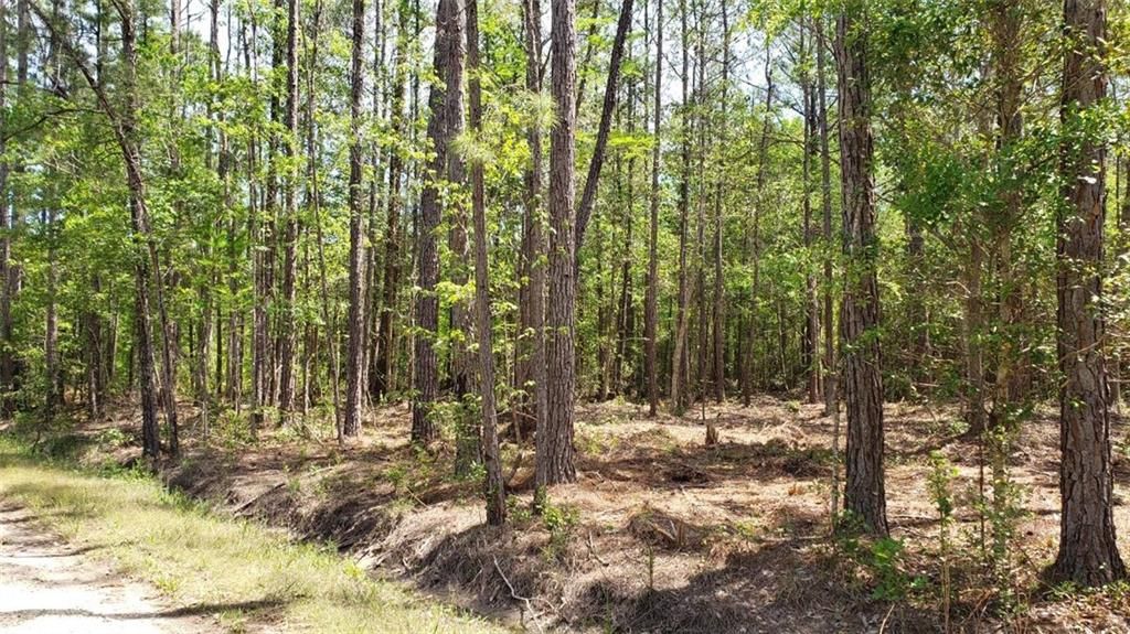 72226 Magnolia Rd, Abita Springs, LA 70420 Trulia