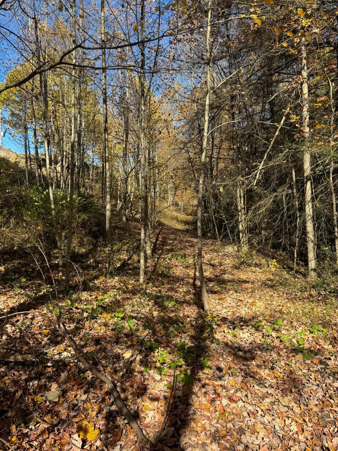 1223 Craigsville Rd, Craigsville, WV 26205 Lot/Land for Sale MLS 24585