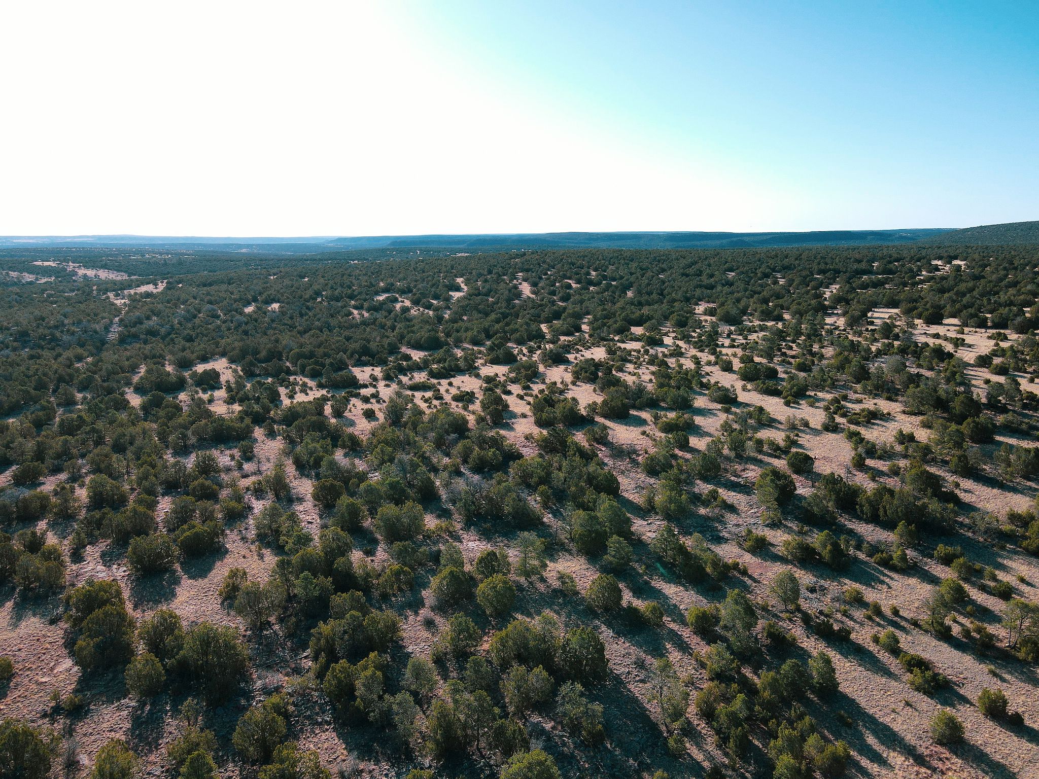 County Road B36, Villanueva, NM 87583 Trulia