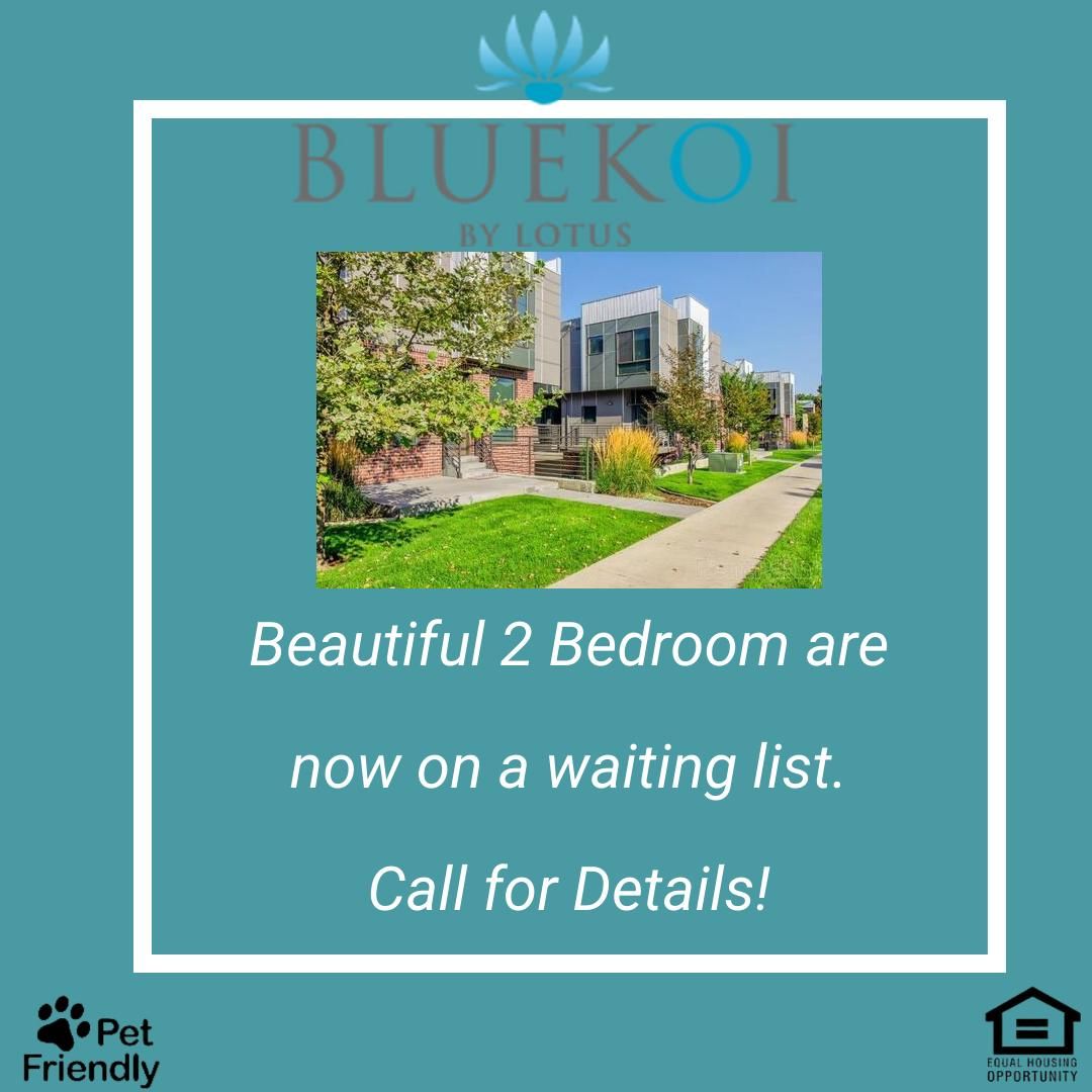 Blue Koi Apartments Salt Lake City Ut Trulia