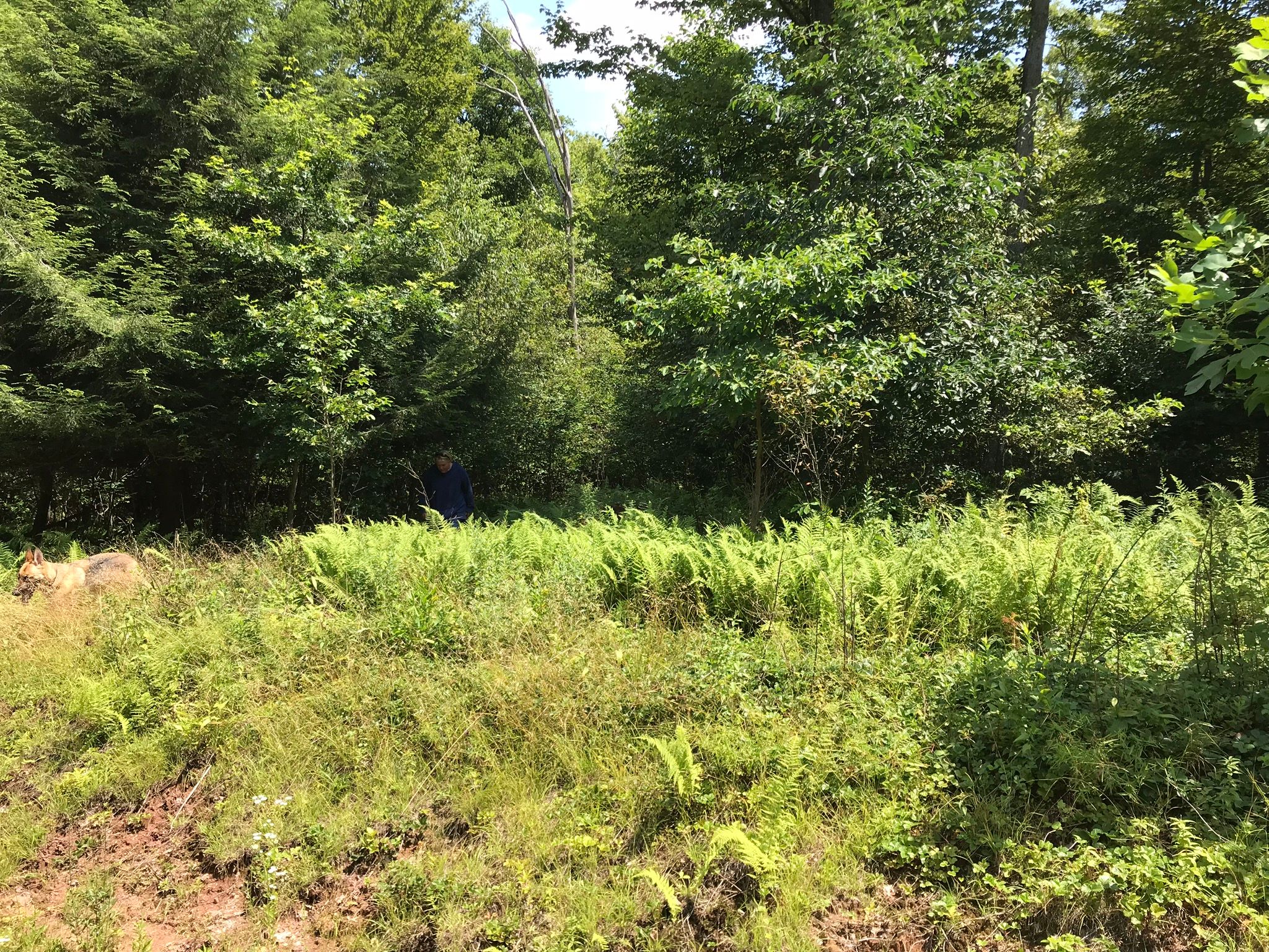 667 Raven Ct, Oakland, MD 21550 Trulia