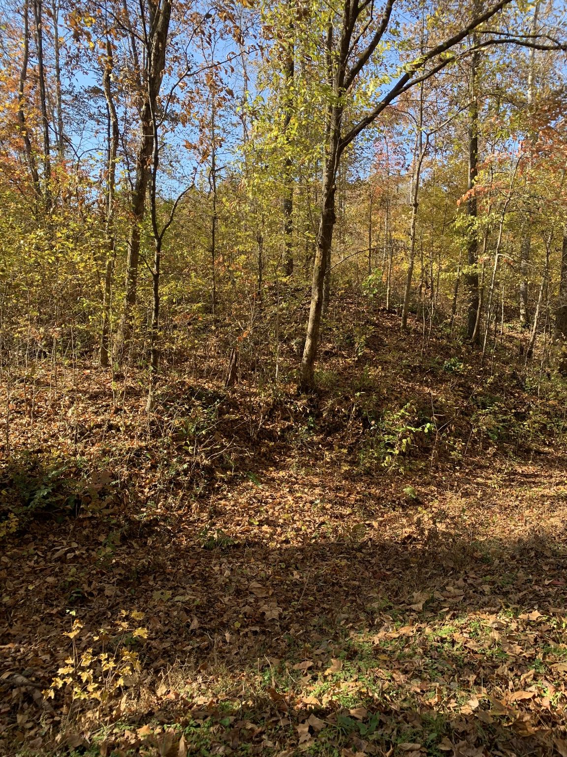 839 Terrapin Creek Rd 1, Lobelville, TN 37097 Trulia